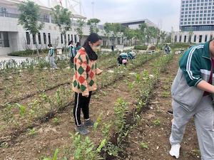 精深教研-徽风皖韵 以茶相约，亲近自然-刘敏(1)