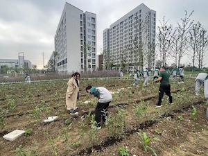 精深教研-徽风皖韵 以茶相约，亲近自然-刘敏(2)